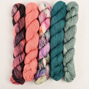 Hue Loco Color Riot Mini 5 Skein Set Phyllis Sock Merino 460 Yds Blue Raspberry